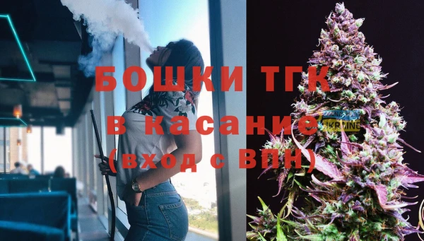 бошки Алексин