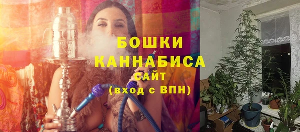 2c-b Надым
