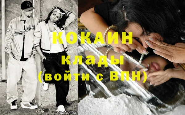 соль ск Алзамай