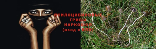 бошки Алексин